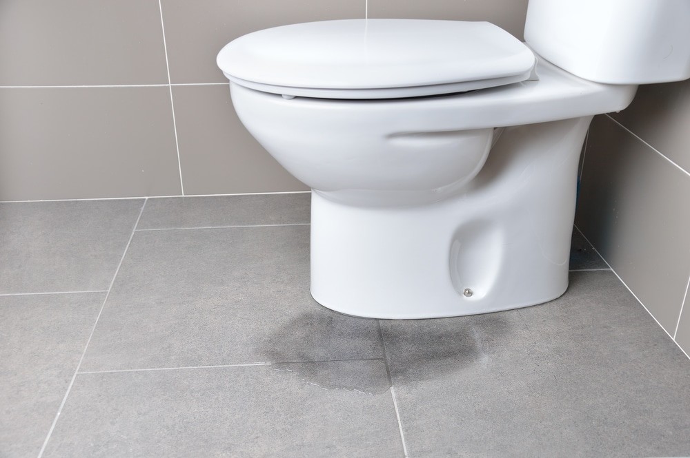 You’re 6 Steps Away From Fixing A Leaking Toilet Cistern