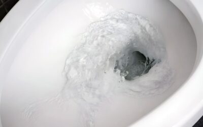 8 Questions, 8 Answers For A Toilet Not Completely Flushing