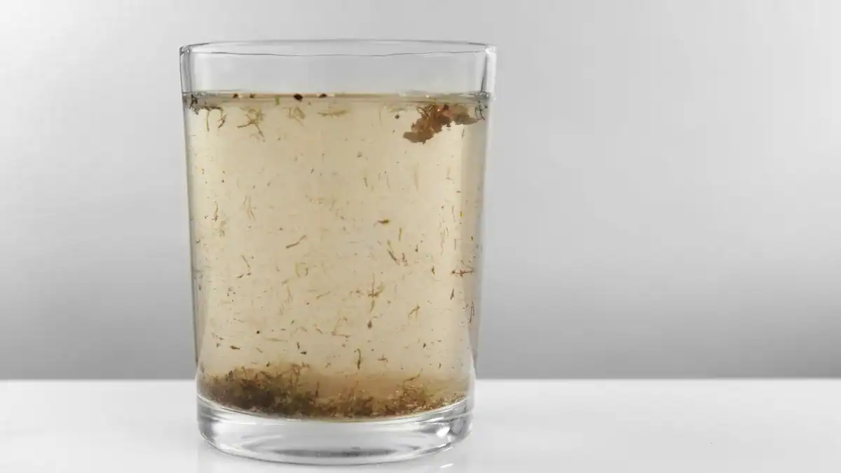 Glass of discoloured tap water with sediment settled at the bottom