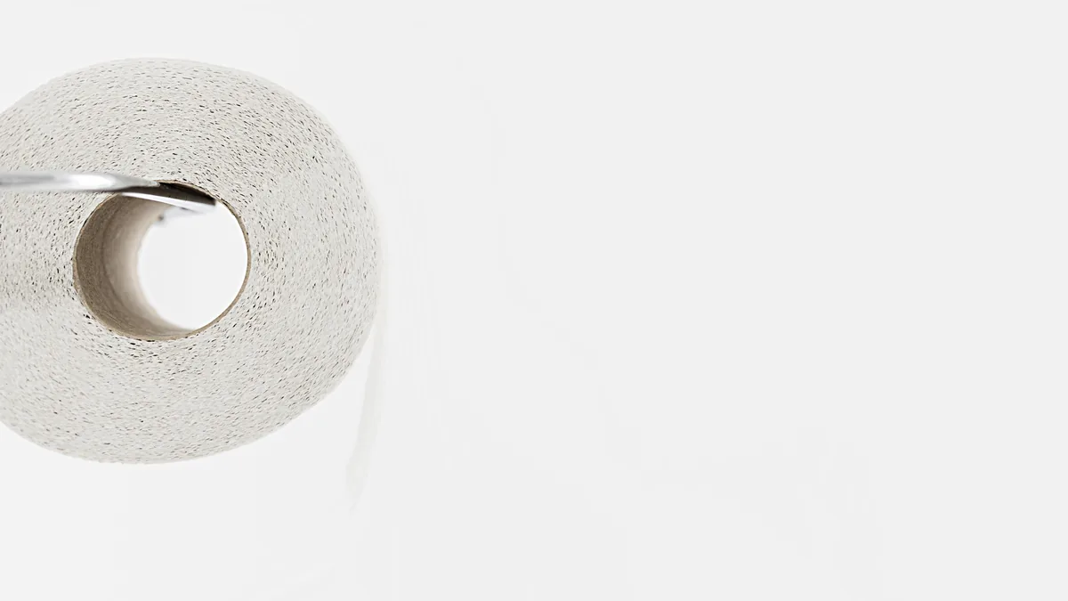 Roll of toilet paper on a chrome holder against a white wall