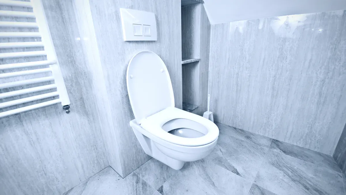 Wall hung toilet with the flush plate of an in-wall concealed cistern above it